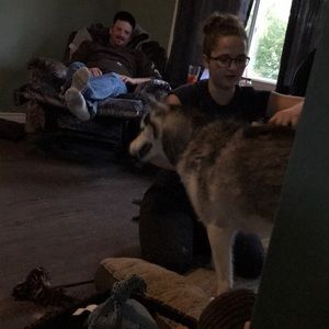 Meet your Posher, Shelby